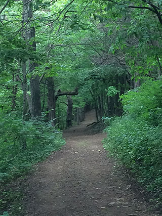 Hiking through rural Wisconsin.