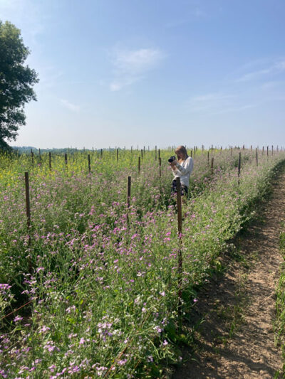 Image of woman photographing plants