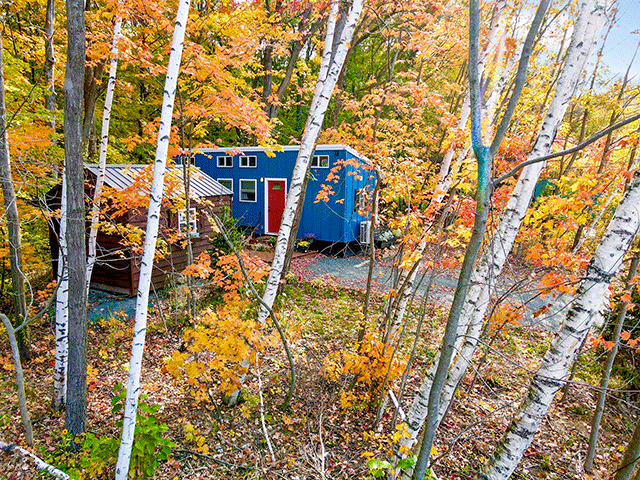 Blue home and shed in the Tiny Timbers Agrihood