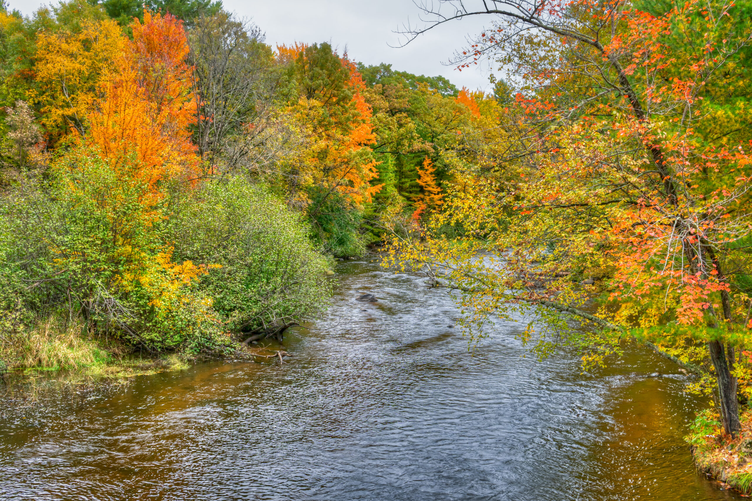 The Apple River surrounded by colorful autumn trees in St. Croix, Wisconsin.