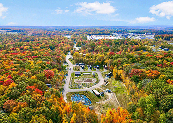A new housing development in a forested area. A new housing development in a forested area.