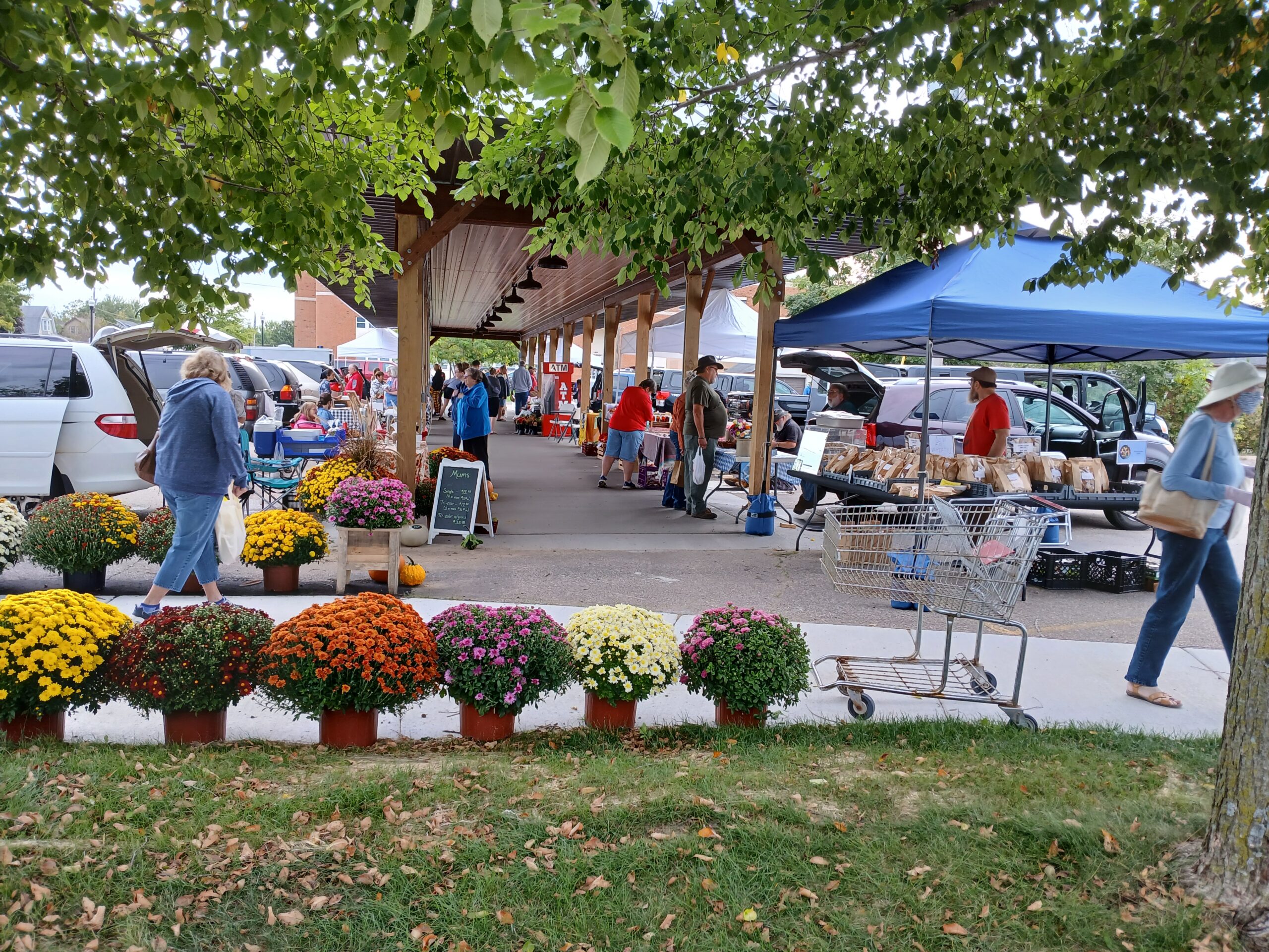 People shopping at the Ladysmith farmers market with vendors, tents, and colorful potted flowers. People shopping at the Ladysmith farmers market with vendors, tents, and colorful potted flowers.